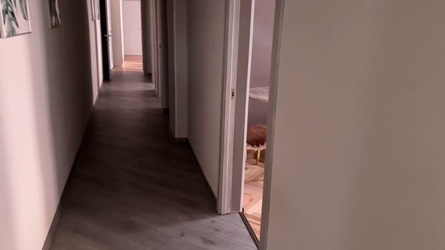 обзор квартиры/спб площадь искусств/объявление авито