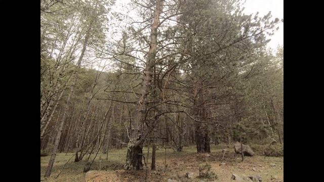 Ущелье Адыр-Су ,Приэльбрусье, конец мая.