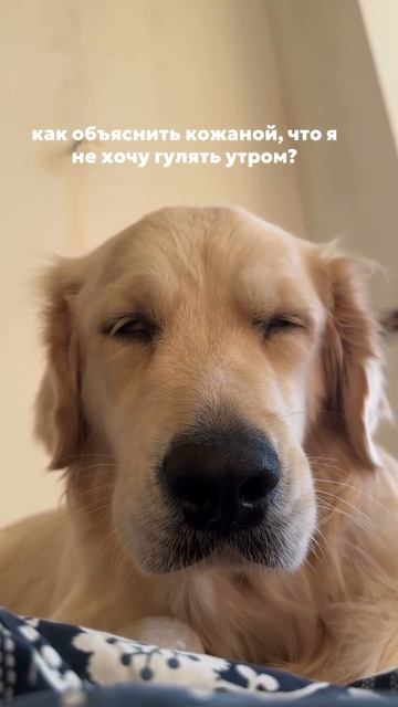 Утро понедельника 🥴))