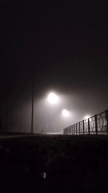 Дорога домой