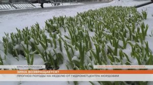 Прогноз погоды на неделю от Гидрометцентра Мордовии