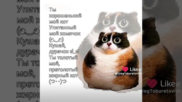 Сделаю видио такое же 🌝