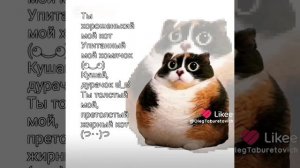 Сделаю видио такое же 🌝