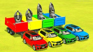 Для детей: ПЕРЕВОЗКА ОБЕЗЬЯН НА РАЗНОЦВЕТНЫХ BMW 1 ЧАСТЬ