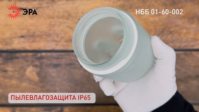 Светильник ЭРА НББ 01-60-002 для бани и сауны