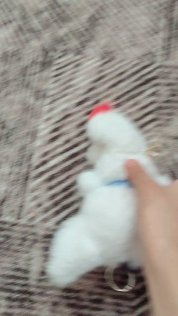 пожалуйста подпишитесь 🐱