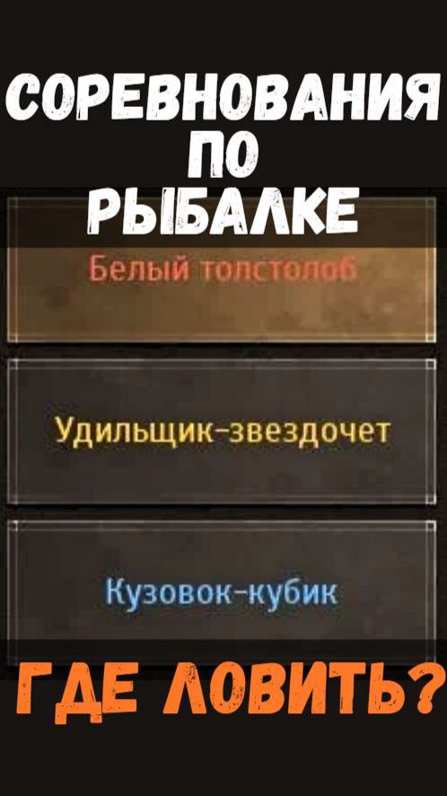 [BDO]🎣 БЕЛЫЙ ТОЛСТОЛОБ / УДИЛЬЩИК ЗВЕЗДОЧЕТ / КУЗОВОК КУБИК - ГДЕ ЛОВИТЬ?СОРЕВНОВАНИЯ #fishing #bdo