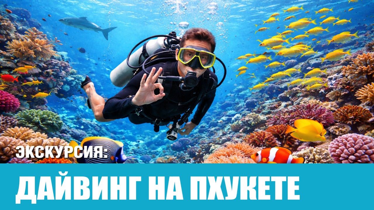 Дайвинг / Diving 2026