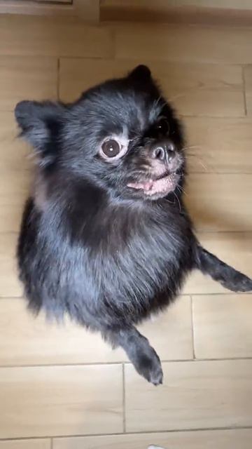 Бухтер энергия на 1000%! ⚡️