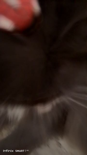 боже короюся🐞