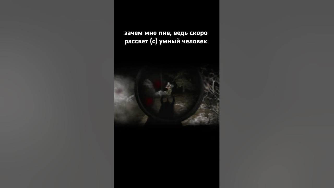 сверхразум в алтыне #eft #тарков #escapefromtarkov #tarkov