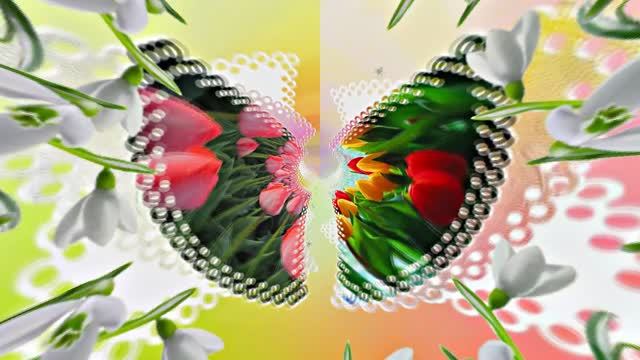 Весна! Очаровательные тюльпаны 4! Киностудия Мудрого Кота Тимофея!