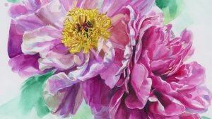 Мастер-класс по реалистичной акварельной ботанической живописи «Розовые пионы»