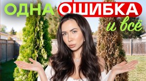 НИ ВЗДУМАЙТЕ сажать хвойные пока не посмотрите это! 4 ЧЕСТНЫХ совета