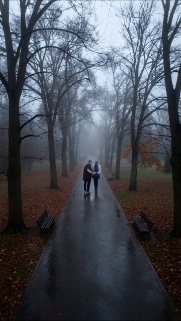 Туманная прогулка по парку #осень #пейзаж #природа