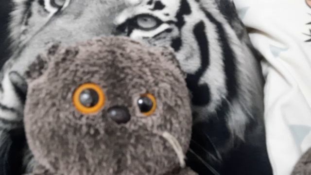 Ждите обзор на новую кровать❤🤍