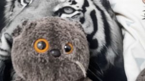 Ждите обзор на новую кровать❤🤍