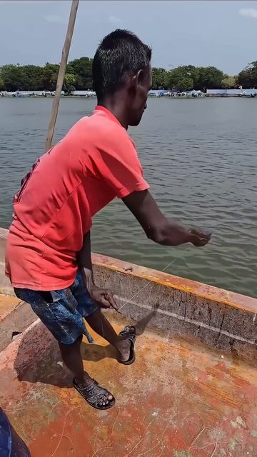 #бутылкадлярыбалки #приспособлениеиндийскихрыбаком #самаяпростаярыбалка #rutube