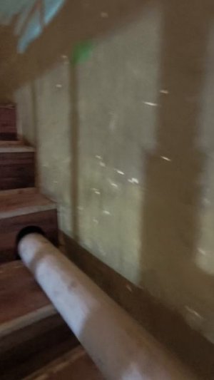 1000026621.mp4