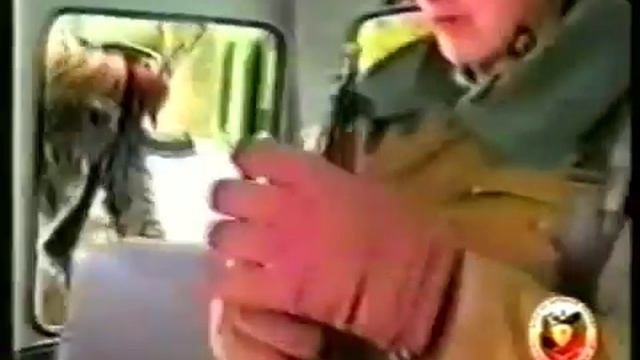 ГАЗ-3937 Водник.mp4