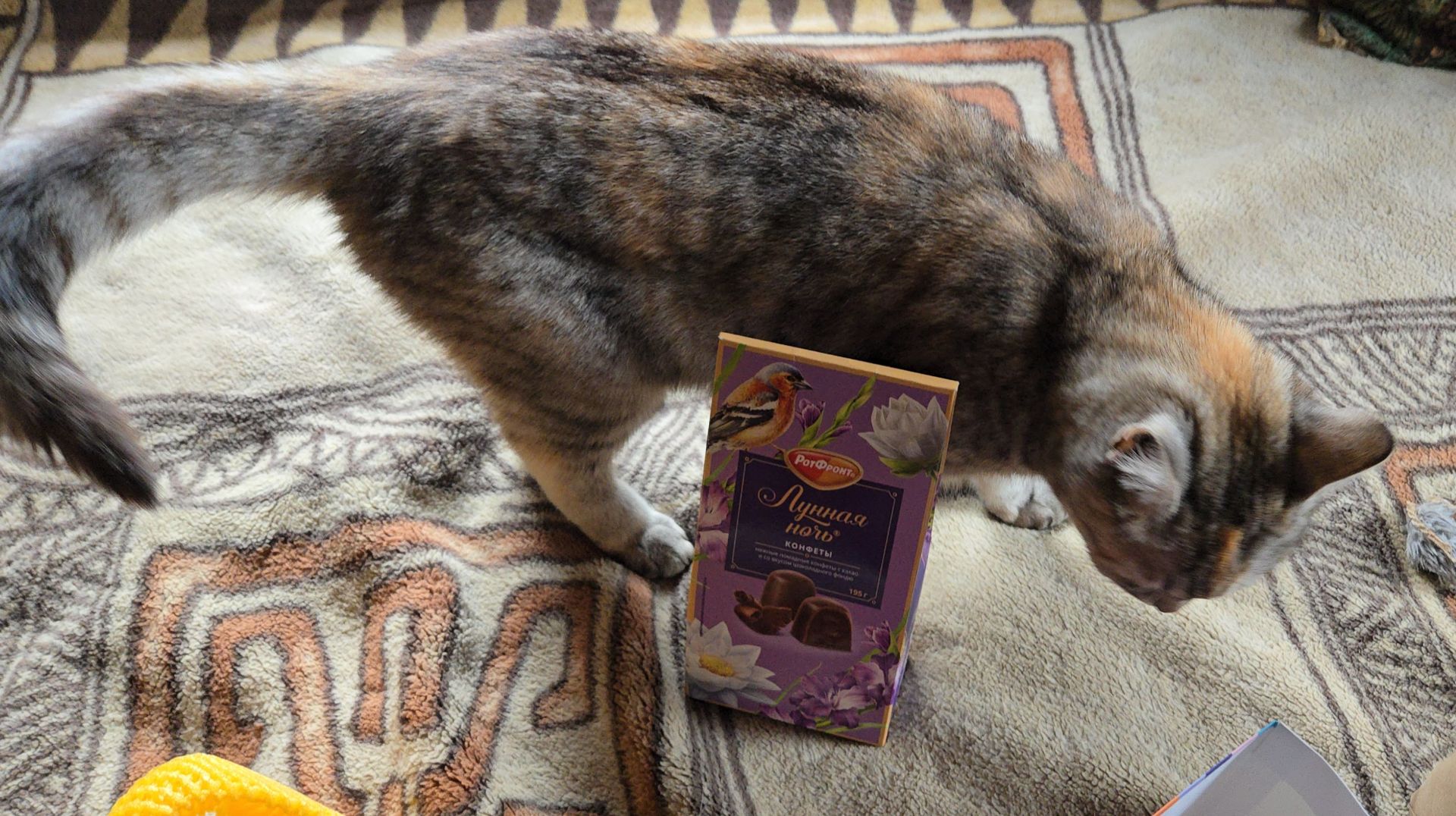 Капризная погодка, разноцветное блюдо и гостинцы из Москвы