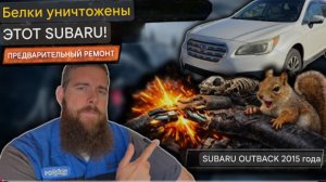 Белки ПОВРЕДИЛИ проводку этого Subaru Outback 2015 года выпуска… Настоящий ремонт!