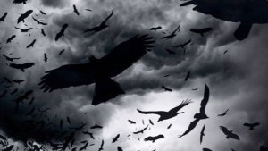 Здесь птицы не поют. Музыкальный ролик.