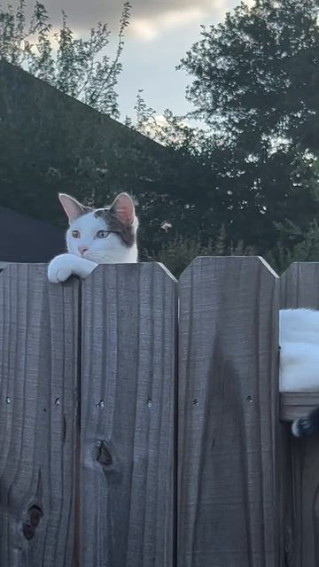 Всем хорошего дня и отличного настроения