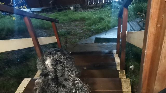 VID_20260420_033457[1]