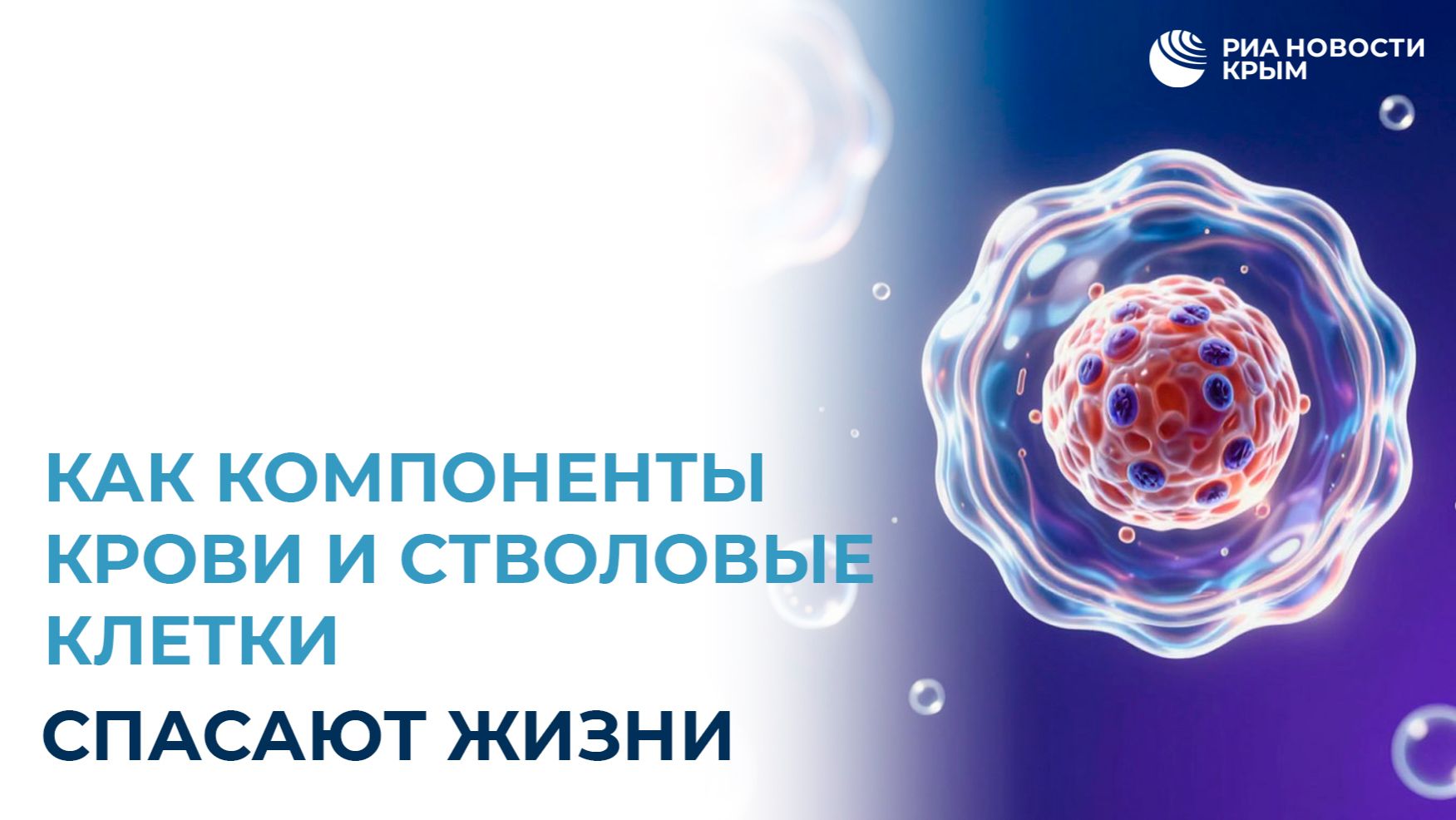 Как компоненты крови и стволовые клетки спасают жизни