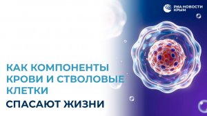 Как компоненты крови и стволовые клетки спасают жизни