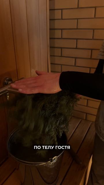 Колючий друг пармастера: вся правда о можжевельнике 🌲🔥