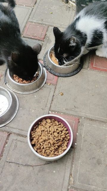 Мама с сыночком кушают.