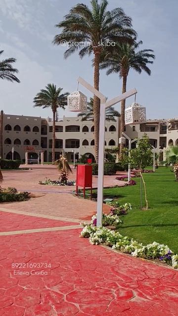 ТОП ЛИДЕР звучит гордо, НО