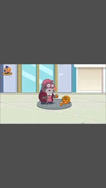 Храбрый шериф Лабрадор — познавательный мультфильм.