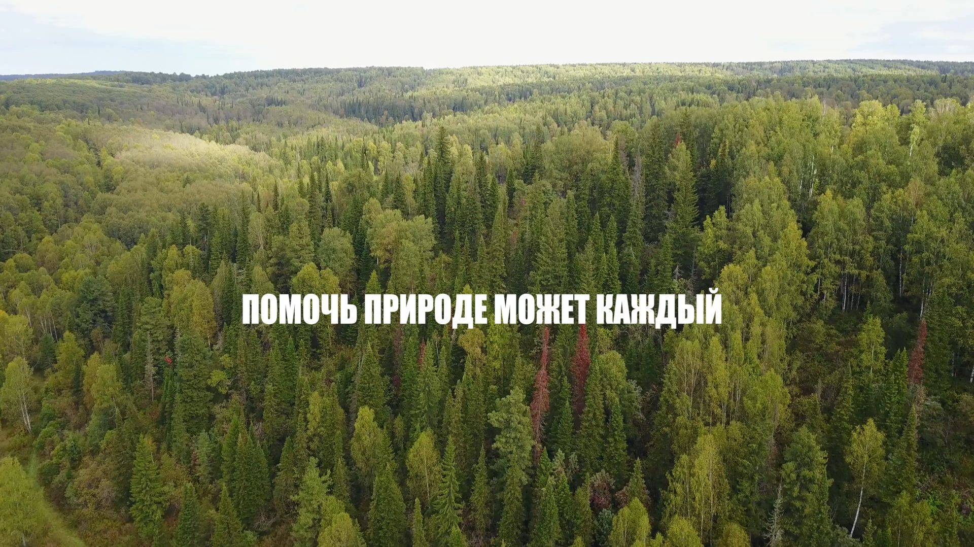 Помочь природе может каждый