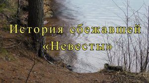 История сбежавшей «Невесты»