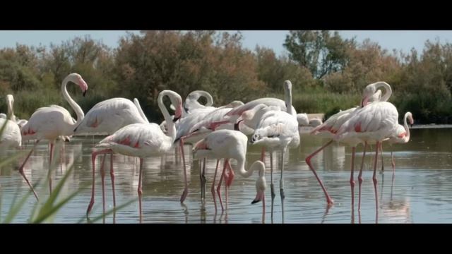 Гомзикова Полина СТ-153