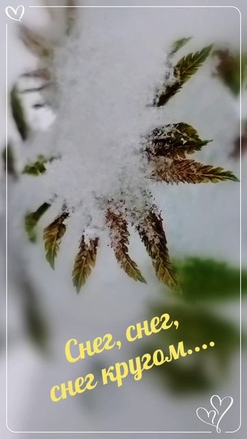 Мой новый фильм с утра 