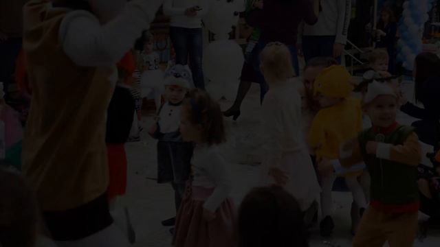 Птицы (2001-2026)