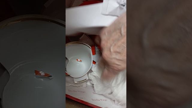 1000083176.mp4сервиз горох