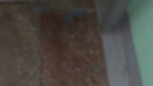 Теорема ЖКХ_Подъезд_2026.04.20_14-30