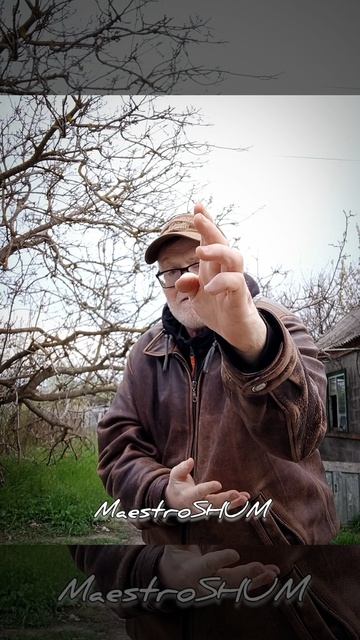 MAESTRO SHUM DE ESGRIMA