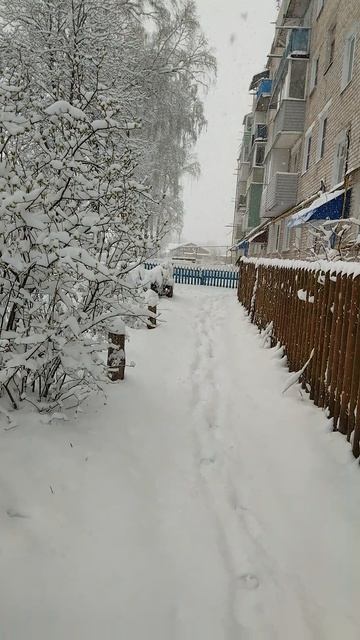 Неожиданный снег!!! 7ч 30 мин утра 20 апреля 2026г.