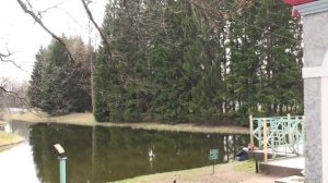 Екатерининский парк Пушкин