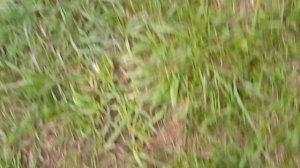 я на заброшено деревне 3.