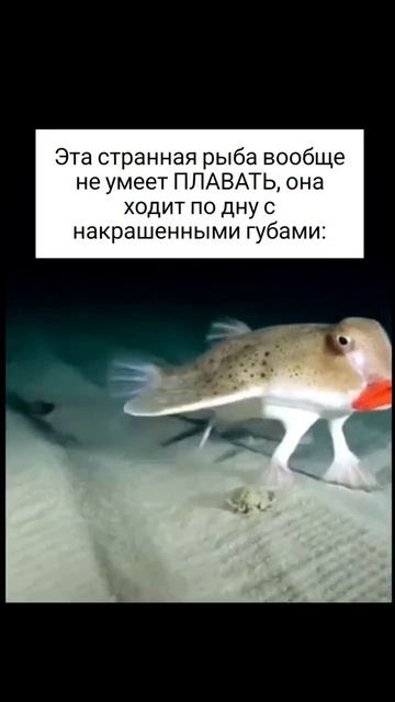 MOV_20260418_123325_453.mp4