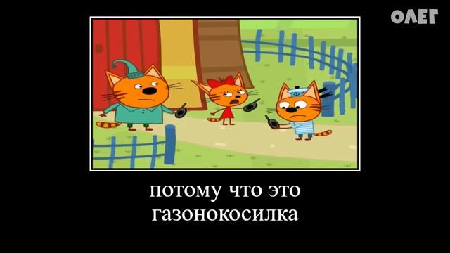 874 СЕКУНДЫ РЖАКИ ТРИ КОТА ПОПРОБУЙ НЕ ЗАСМЕЯТЬСЯ