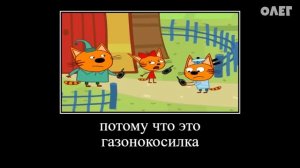 874 СЕКУНДЫ РЖАКИ ТРИ КОТА ПОПРОБУЙ НЕ ЗАСМЕЯТЬСЯ