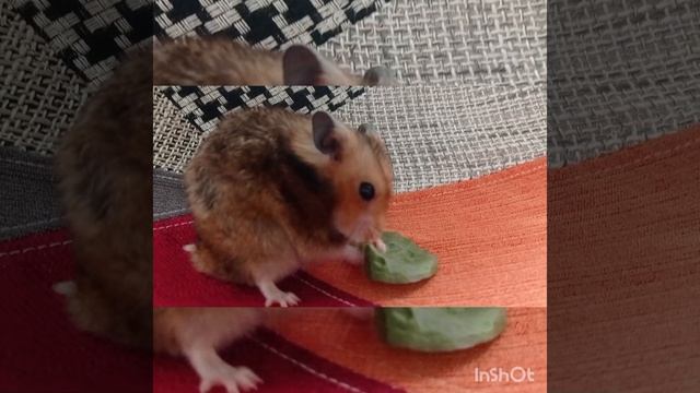 ЗАПОМНИТЕ ЭТО РАЗ И НАВСЕГДА 1 серия